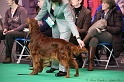 Crufts2011 028